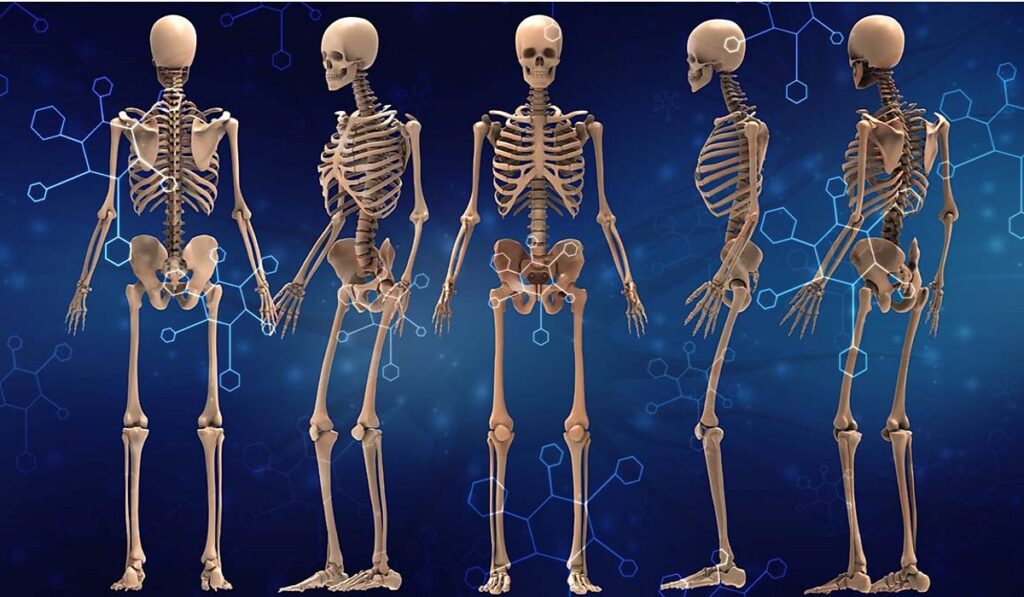โครงสร้างและหน้าที่ของระบบกระดูก, อบรมปฐมพยาบาลเบื้องต้น, เรียนออนไลน์ฟรี